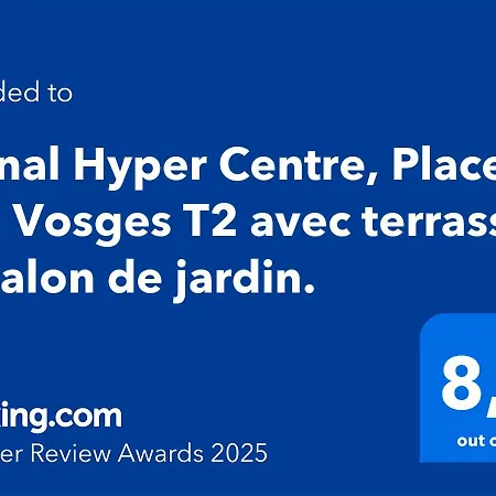 Hyper Centre, Place Des Vosges T2 Avec Terrasse Et Salon De Jardin. Épinal